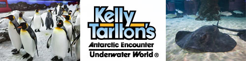 Kelly Tarlton's Antartic Encounter and Underwater World