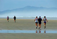Copyright: New Zealand Tourism Guide. Te Houtaewa Challenge Race, 90 Mile Beach, New Zealand