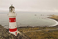 Copyright: New Zealand Tourism Guide. Cape Palliser, Wellington, New Zealand