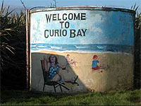 Copyright: New Zealand Tourism Guide. Curio Bay, South Catlins, New Zealand