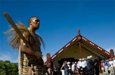 Waitangi Day International Kai Festival, Nelson