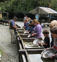 Copyright: New Zealand Tourism Guide. Panning for gold at Shantytown, West Coast, New Zealand