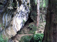Waipu Caves Track: Waipu area, Northland region