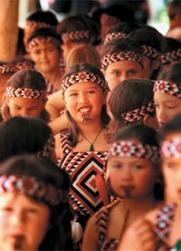 New Zealand Maori Culture The Haka New Zealand Haka