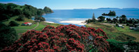 Image Source: Tourism New Zealand. Whangapoua, Coromandel, New Zealand