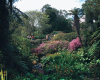 Image Source: Tourism New Zealand. Gardens in New Plymouth, Taranaki, New Zealand