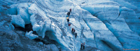 Image Source: Tourism New Zealand. Ice walking on the Fox Glacier, West Coast, New Zealand