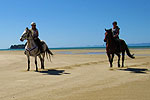 Image of ABEL TASMAN HORSE TREKKING - Marahau Beach