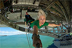 Experience the thrill of the Auckland Bridge Bungy