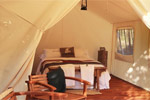 Image of CANOPY CAMPING ESCAPES - Nationwide