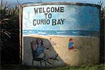 Image of Curio Bay - Off the beaten track
