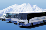 Dempsey's Range of Buses