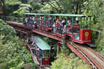 Image of Driving Creek Railway - Off the beaten track