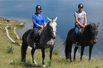 On a horse trek with Horse Trekking Lake Okareka