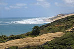 Image of The Kauri Coast - Off the beaten track