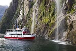 Image of MILFORD SOUND CRUISES - Milford Sound