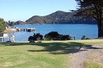 Image of OLD MILL TRACK, Whangaparapara - Great Barrier Island