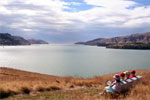 A view of Lyttelton from Quail Island