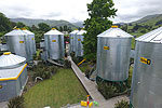 The Silos at SiloStay accommodation in Little River