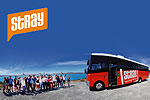Image of STRAY FREESTYLE PASSES - New Zealand