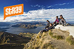 Image of STRAY BUS - New Zealand