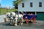 Horse and carriage outside The Carriage House