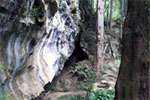 Image of Waipu Caves - Off the beaten track